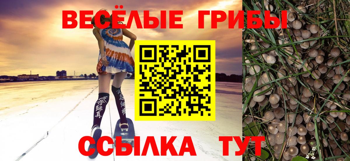 Кузнецк  Псилоцибиновые грибы мицелий  Галлюциногенные грибы Magic Shrooms  Вход с VPN 